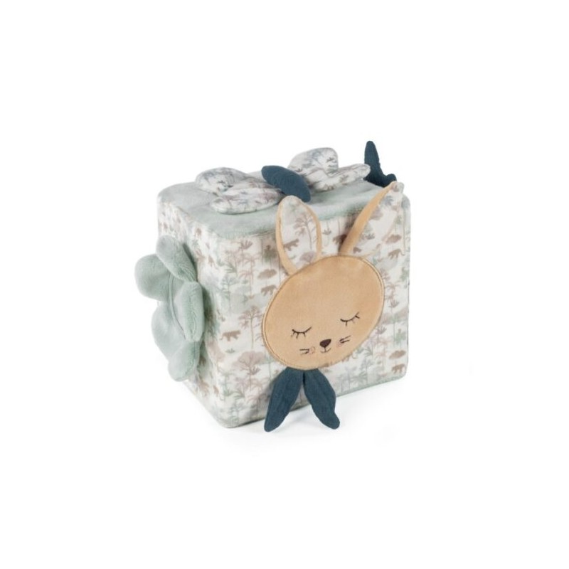 Cubo de Atividades Rabbit Serengueti - Pasito a Pasito